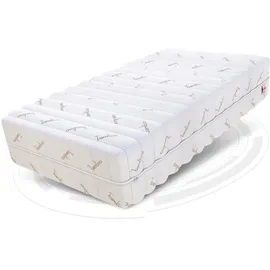 Fdm ARUBA 7 Zonen 140 x 200 cm H3 | H5