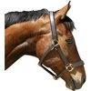 Halfter Eco Warmblut, Leder Braun, 32267