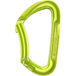 Karabiner Edelrid Pure Bent Oase GRÜN No Size