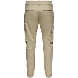 Only & Sons Hose 'Cam Stage' & Beige - 34