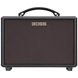 Roland AC-22LX - Akustikgitarren-Verstärker