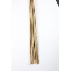 BURI Rankhilfe 10er Set Bambus-Stangen L 90cm, ø 8-10mm Rankhilfe Pflanzenstab Stange