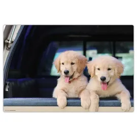 cover-your-desk Schreibtischunterlage abwaschbar Golden Retriever Welpen 1 tlg. 60 cm x 40 cm