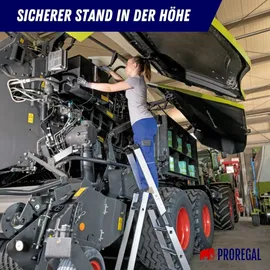 Proregal Stufen-Stehleiter 10 Stufen