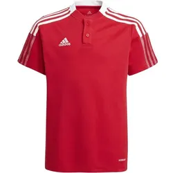 ADIDAS adidas Kinder Tiro 21 Poloshirt, TMPWRD, 116