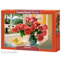 Castorland C-300631-2 Summer Reminiscence 3000 Teile