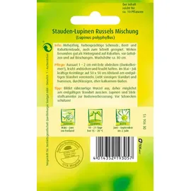 Quedlinburger Stauden-Lupine, Russels Hybrid-Mischung