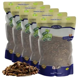 5 kg Lyra Pet® Heuschrecken getrocknet