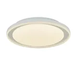 Paul Neuhaus Lars Deckenleuchte, LED, 6480-17,
