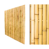 Bambuszaun 180 x 180cm, hellgelblich starr aus Moso Bambus mit Durch. je 3,5