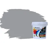 RyFo Colors Silikonharz Fassadenfarbe Lotuseffekt Trend Signalgrau 1l - bunte Fassadenfarbe, weitere Grau Farbtöne und Größen erhältlich, Deckkraft Klasse 1