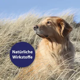 Canosept Hautpflege Spray für Hunde 250 ml