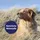Canosept Hautpflege Spray für Hunde 250 ml