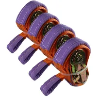 Baumarktplus Spanngurte 4x Zurrgurt Radsicherung 2t