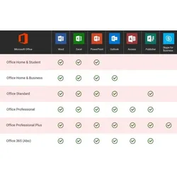 Microsoft Office Professional