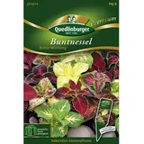 Quedlinburger Buntnessel ''Bunte Mischung''