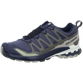 Salomon XA Pro 3D V9 GTX Herren India Ink/Olive Night/Aloe Wash 46