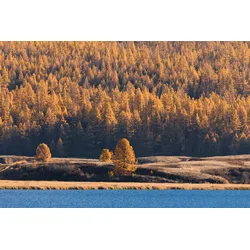 Fototapete PAPERMOON "See am Wald", bunt, B:5,00m L:2,80m, Vlies, Tapeten