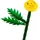 LEGO LEGO® Botanicals Feldblumen