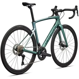Specialized Roubaix Expert 2026 56 Zoll RH 56 cm grün/beige/weiß
