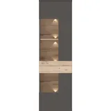 Forte Vitrine Höhe 203 cm, inkl. Beleuchtung grau