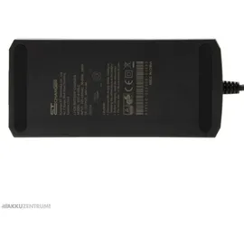 Maratron Akku Ladegerät für AEG 36V 4A