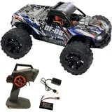 Drive & Fly Models RC-Truck Light Truck 1:14 CH RTR