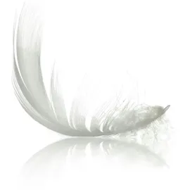 IRISETTE Irisette, Edda warm 155 x 220 cm)