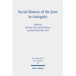 Social History Of The Jews In Antiquity, Leinen