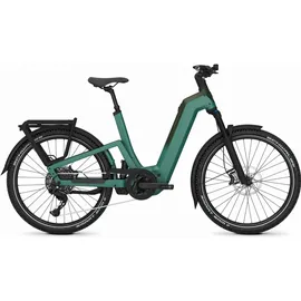 Kalkhoff Entice 7+ Move 27,5 Zoll RH 45 cm mineralgreen/huntsmengreen matt