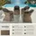 Tectake Rattansessel 60 x 71 x 84 cm natur 4 St. inkl. Sitzkissen
