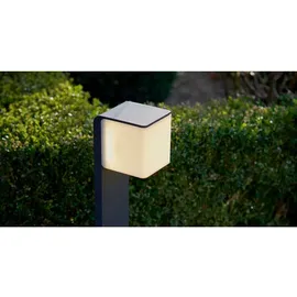 Steinel LED-Außenleuchte GL 80 C Anthrazit