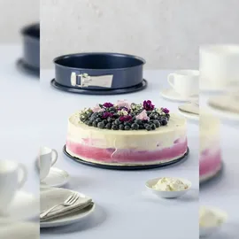 Dr. Oetker Springform Back-Liebe Emaille Springform-Backform mit Emaille-Servierboden und Antihaft-Ring 28cm (1101)