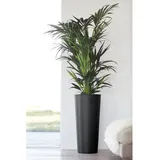 Ecopot Ecopots Pflanztopf Amsterdam hoch Dunkelgrau 70 cm