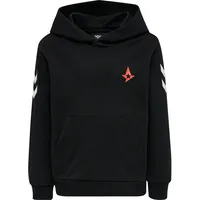 Hummel hmlASTRALIS Cuatro Hoodie
