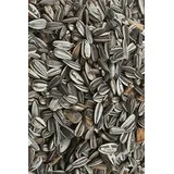 Pfiffikus Wildvogelfutter Sonnenblumenkerne gestreift 25 kg