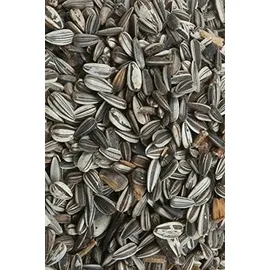 Pfiffikus Wildvogelfutter Sonnenblumenkerne gestreift 25 kg