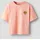 NAME IT T-Shirt NAME IT "NKFBEATRICE SS NREG SH TOP BOX PS NOOS", Mädchen, Gr. 158/164, desert flower, Jersey, Obermaterial: 100% Baumwolle, bestickt, unifarben, taillenbedeckt, Rundhals, Shirts T-Shirt