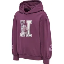 hummel hmlASTROLOGY Hoodie amaranth 104