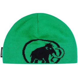 Mammut Tweak Beanie Grün