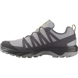 Salomon Herren, Multifunktionsschuhe SHOES EXTEND GORE-TEX", Gr. 47 1⁄3 in Grau Alloy/Asphalt/Spicy mustard,