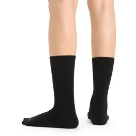 Icebreaker Fine Gauge Crew - l__xl