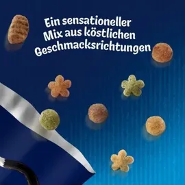 FELIX Ozean Sensations 1 kg