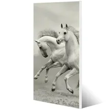 banjado Magnettafel 37x78cm Magnetwand Weiß Aus Metall Magnetpinnwand Pinnwand Inkl. 4 Magnete Motiv Wilde Pferde Sw