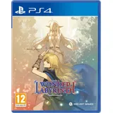 Record of Lodoss War Deedlit in Wonder Labyrinth