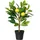 Everlands Kunstpflanze Zitronenbaum CITRON, Gelb - Grün - H 43 cm - schwarzer Kunststofftopf