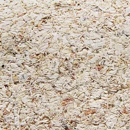 Allspan German Horse Classic