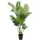House Nordic House Nordic, Kunstpflanzen, Areca 175 cm,