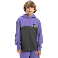 QUIKSILVER Hoodie »Global Heat«, grau
