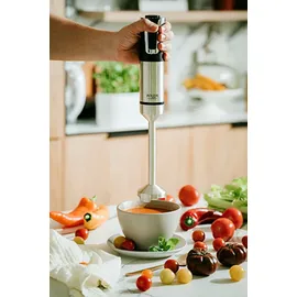 Adler 20 Geschwindigkeiten 1800W Turbo-Funktion AD 4627 - Silber